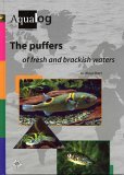 Green Pufferfish book Green Pufferfish book